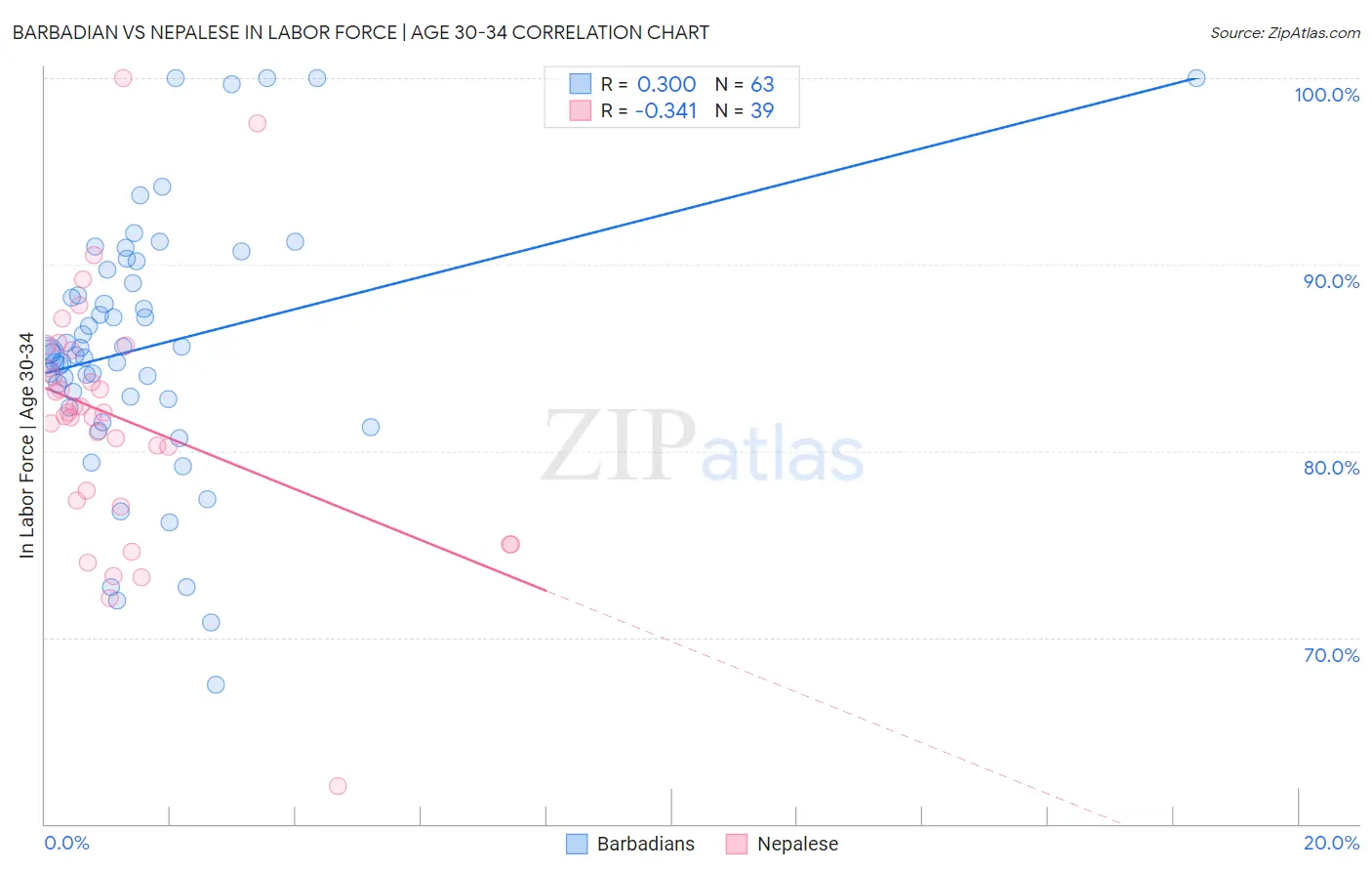 Barbadian vs Nepalese In Labor Force | Age 30-34