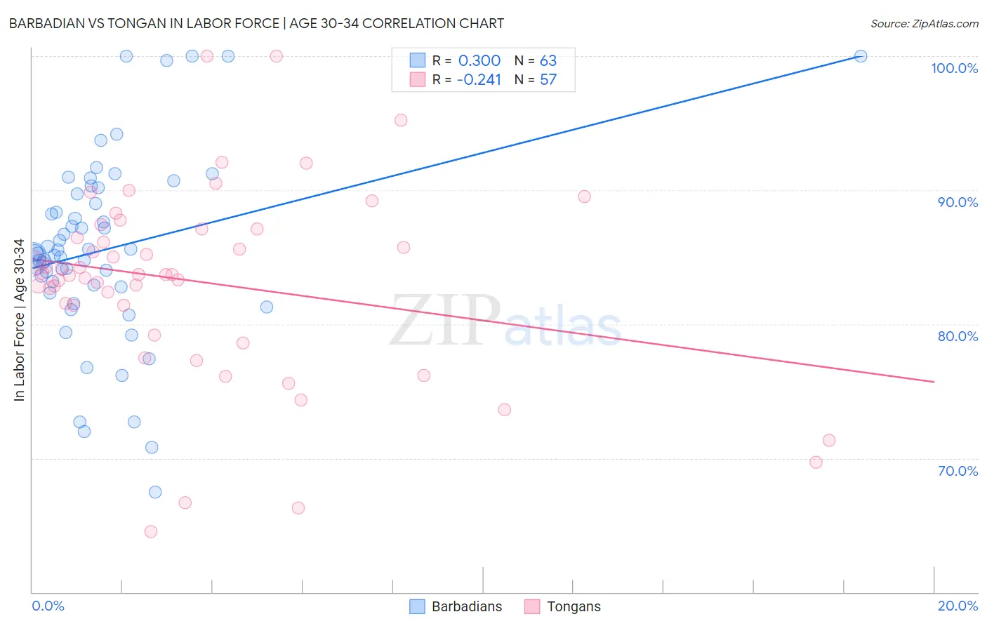 Barbadian vs Tongan In Labor Force | Age 30-34