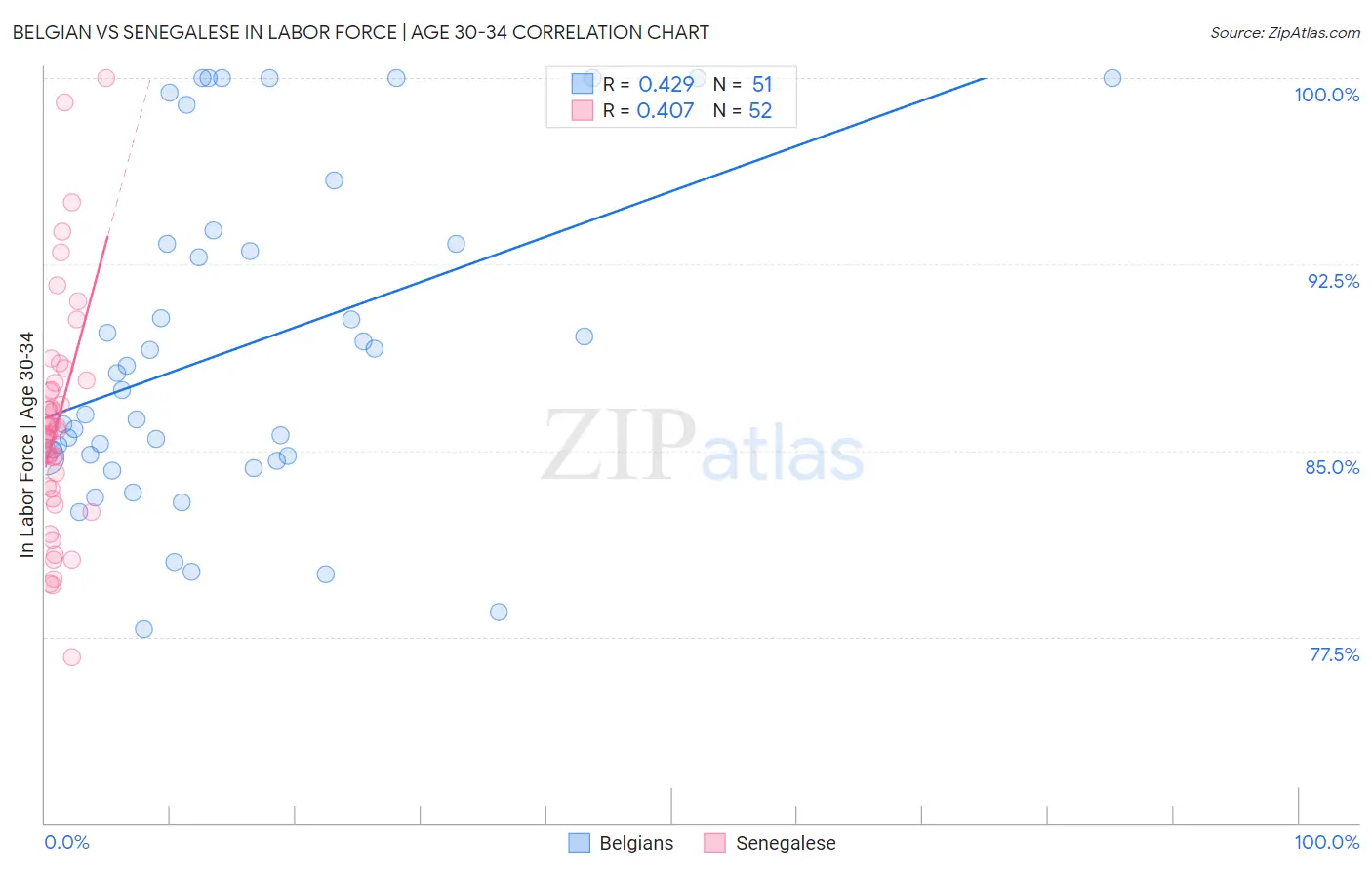 Belgian vs Senegalese In Labor Force | Age 30-34