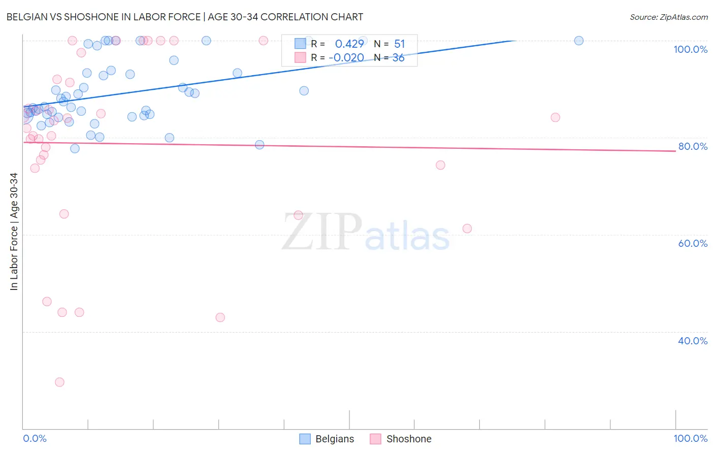 Belgian vs Shoshone In Labor Force | Age 30-34