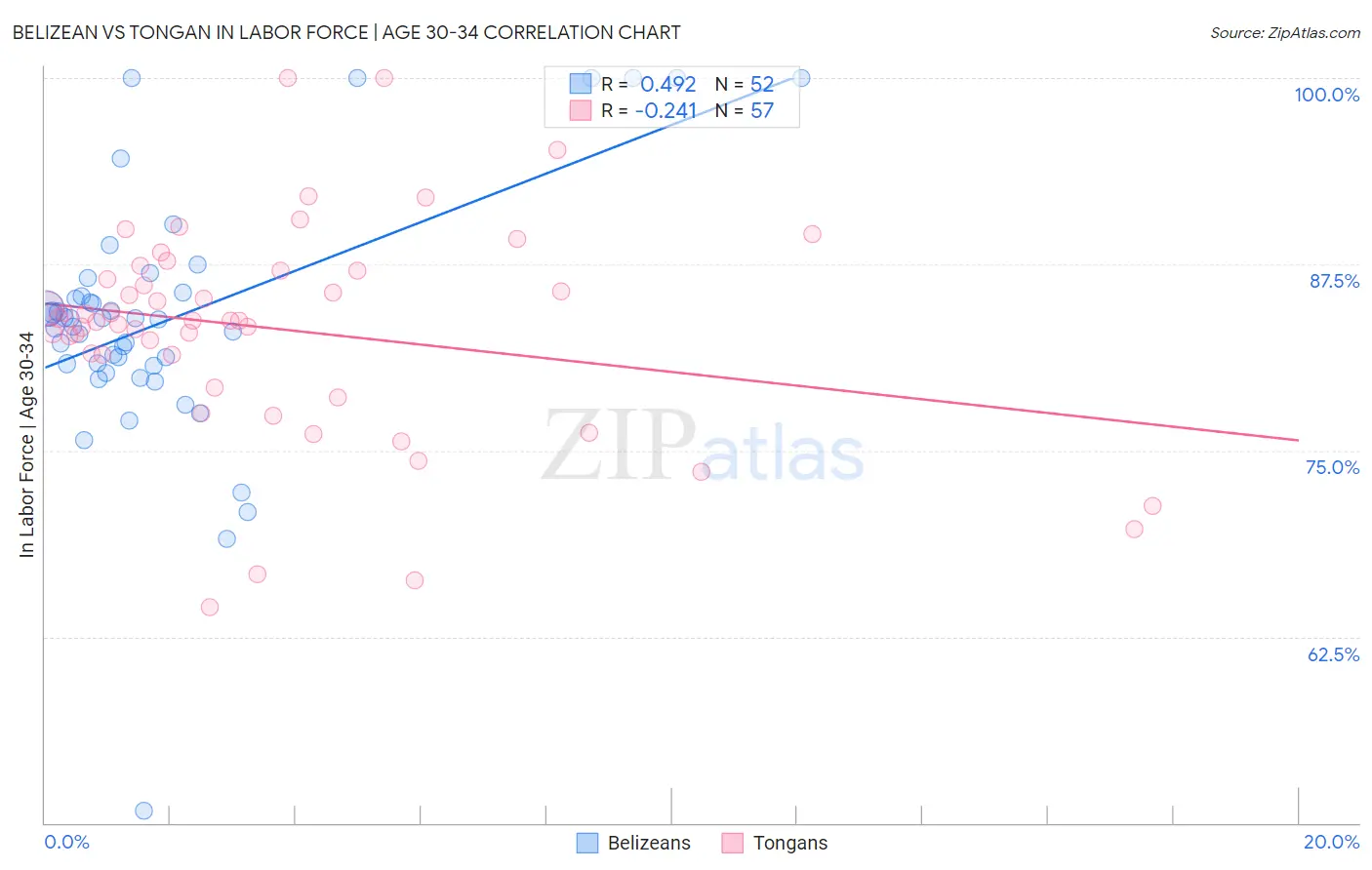 Belizean vs Tongan In Labor Force | Age 30-34