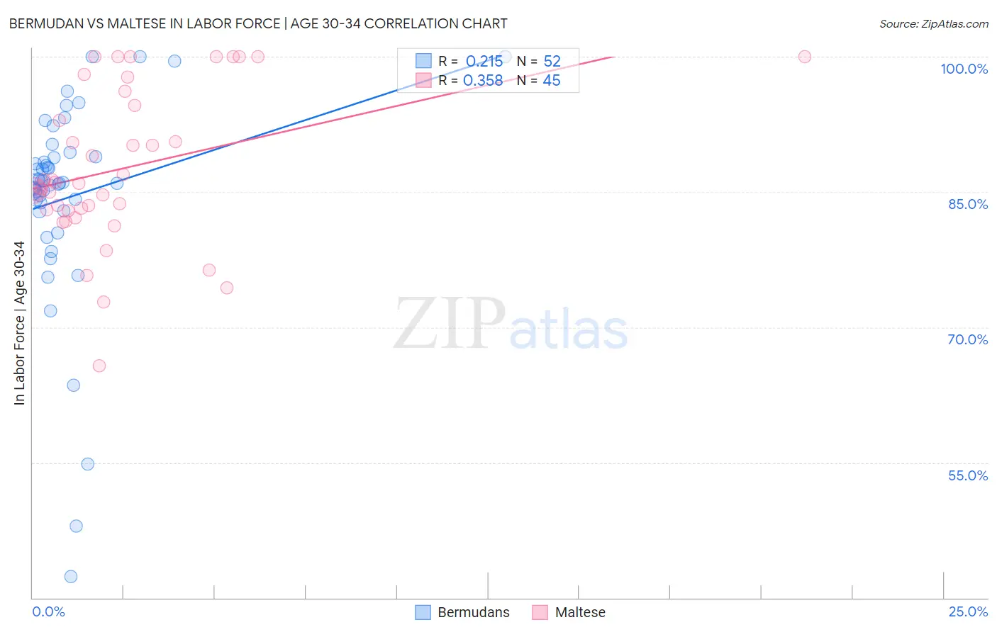 Bermudan vs Maltese In Labor Force | Age 30-34