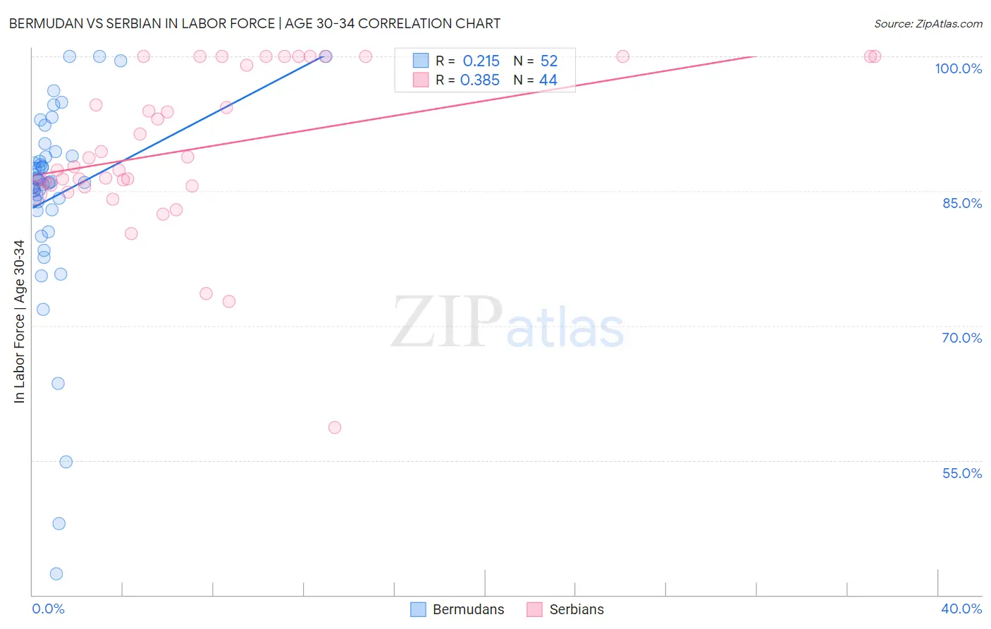 Bermudan vs Serbian In Labor Force | Age 30-34
