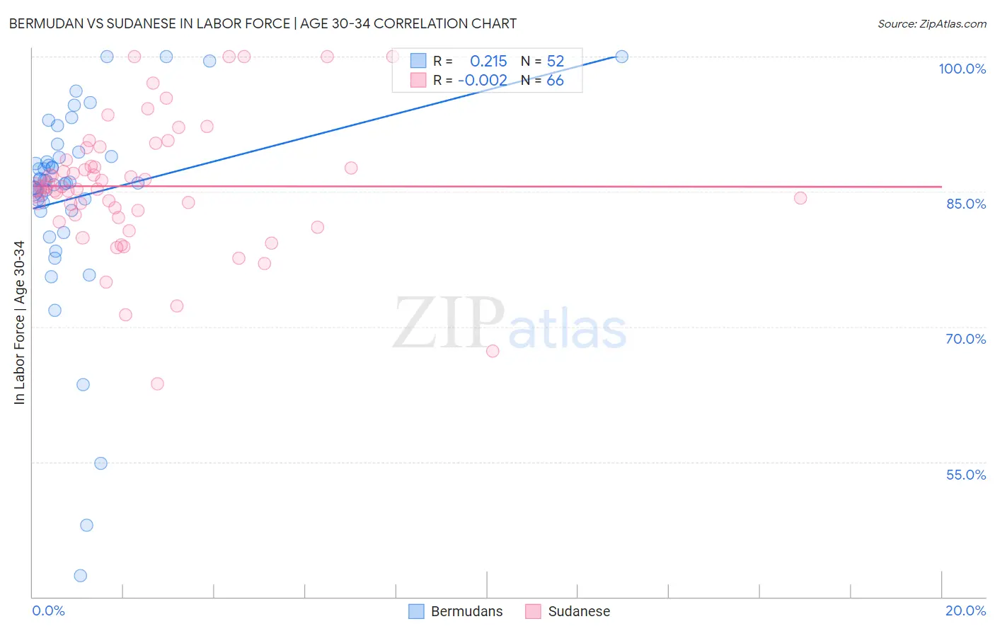 Bermudan vs Sudanese In Labor Force | Age 30-34