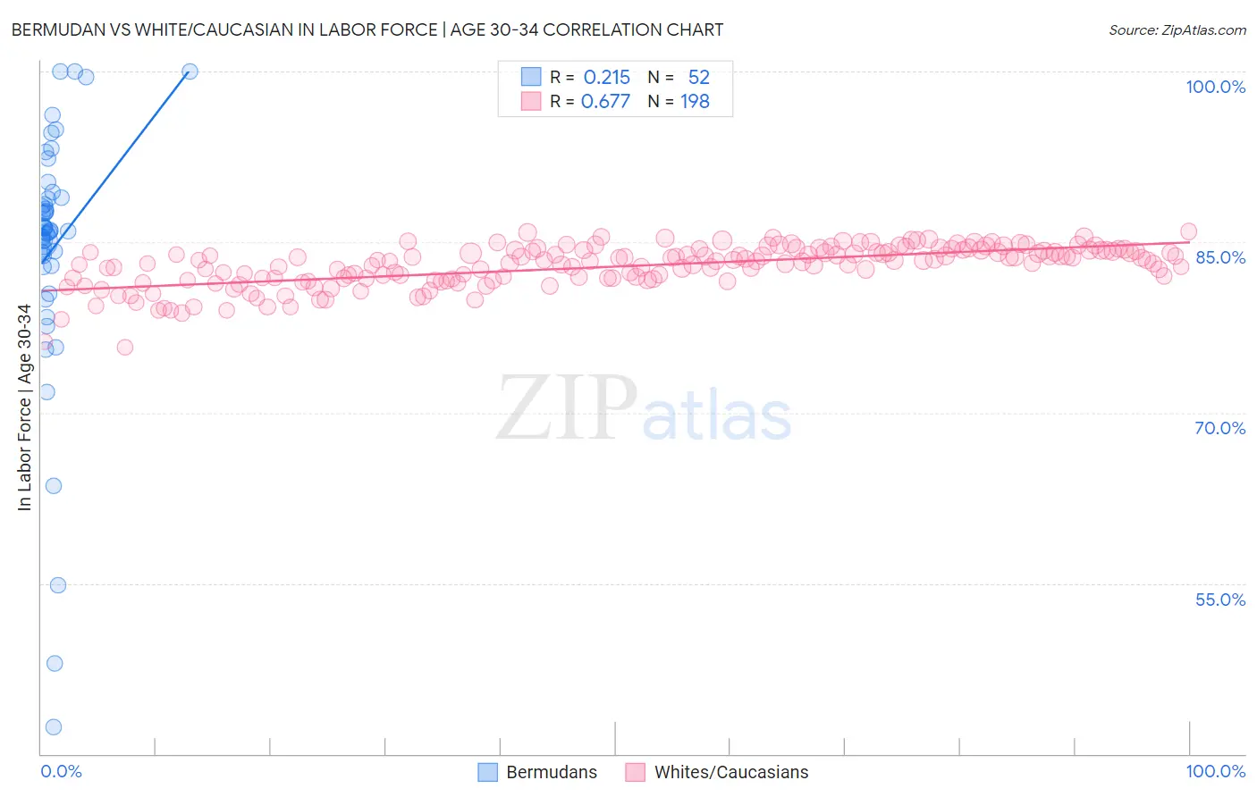 Bermudan vs White/Caucasian In Labor Force | Age 30-34