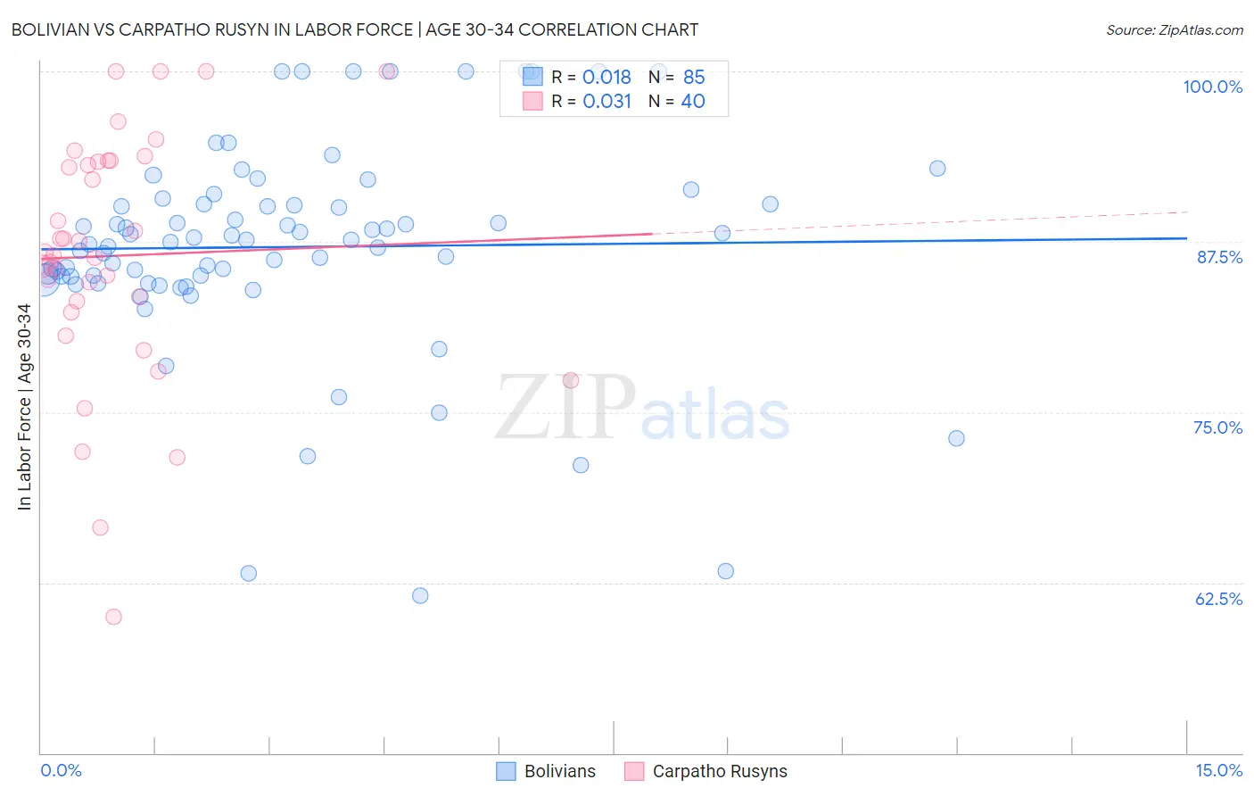 Bolivian vs Carpatho Rusyn In Labor Force | Age 30-34