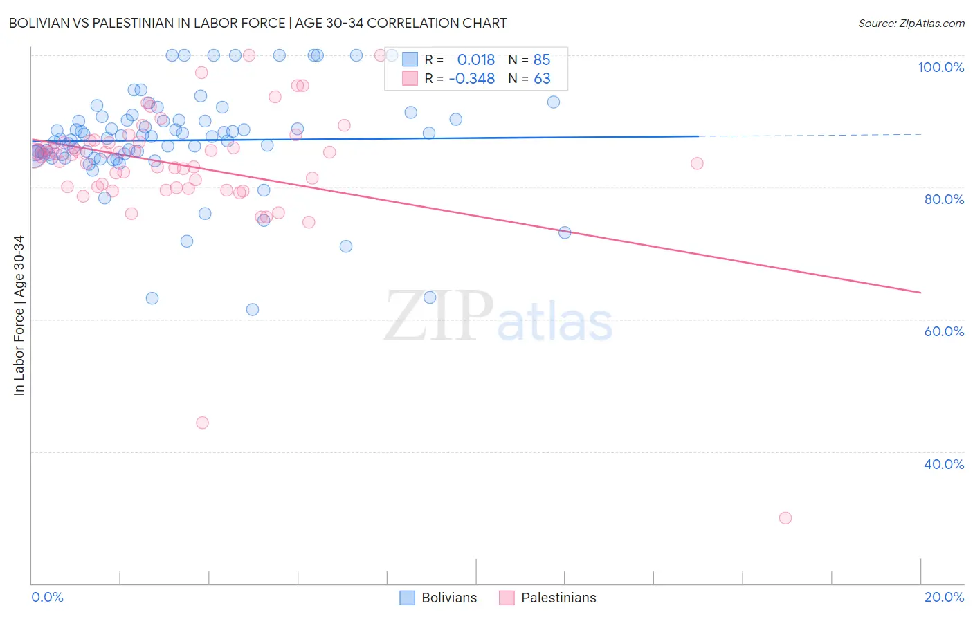 Bolivian vs Palestinian In Labor Force | Age 30-34
