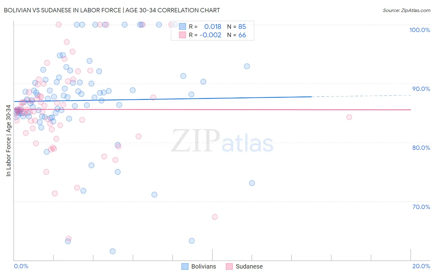 Bolivian vs Sudanese In Labor Force | Age 30-34