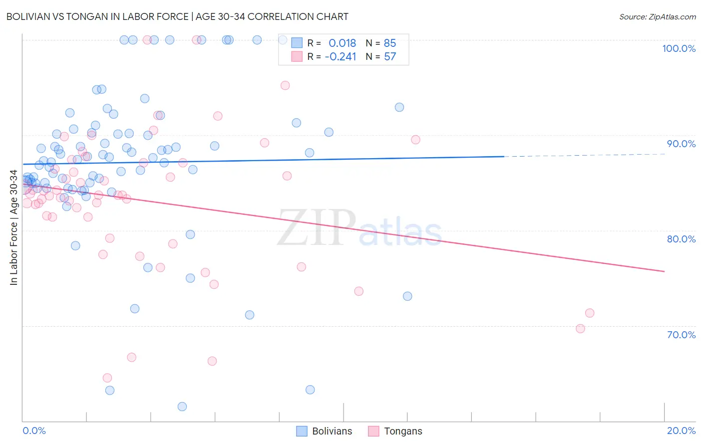 Bolivian vs Tongan In Labor Force | Age 30-34