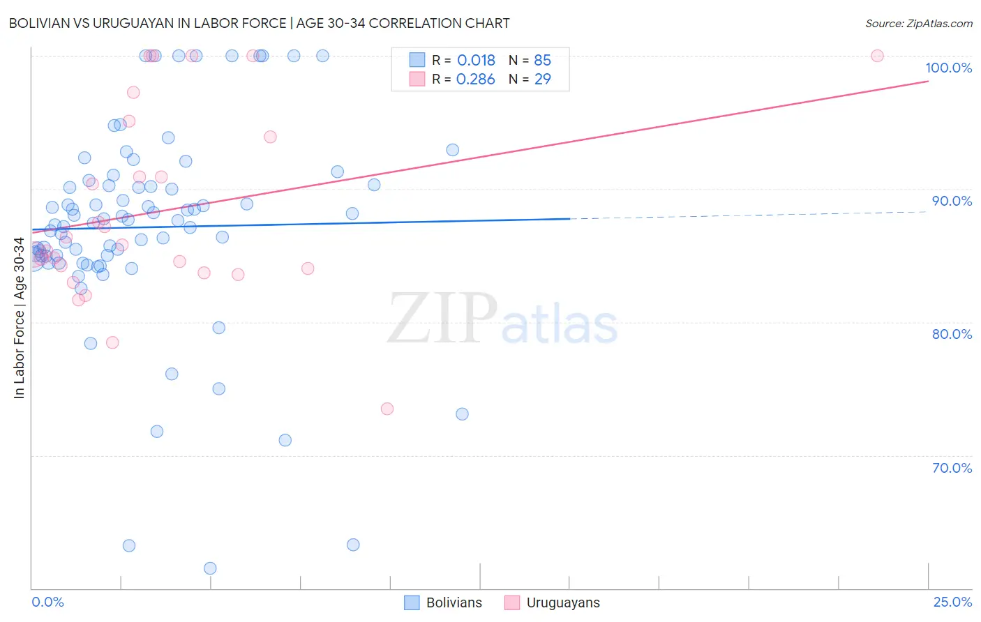 Bolivian vs Uruguayan In Labor Force | Age 30-34
