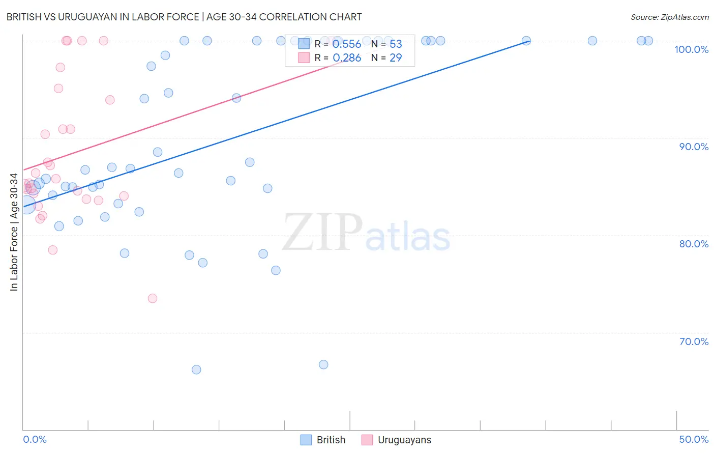 British vs Uruguayan In Labor Force | Age 30-34