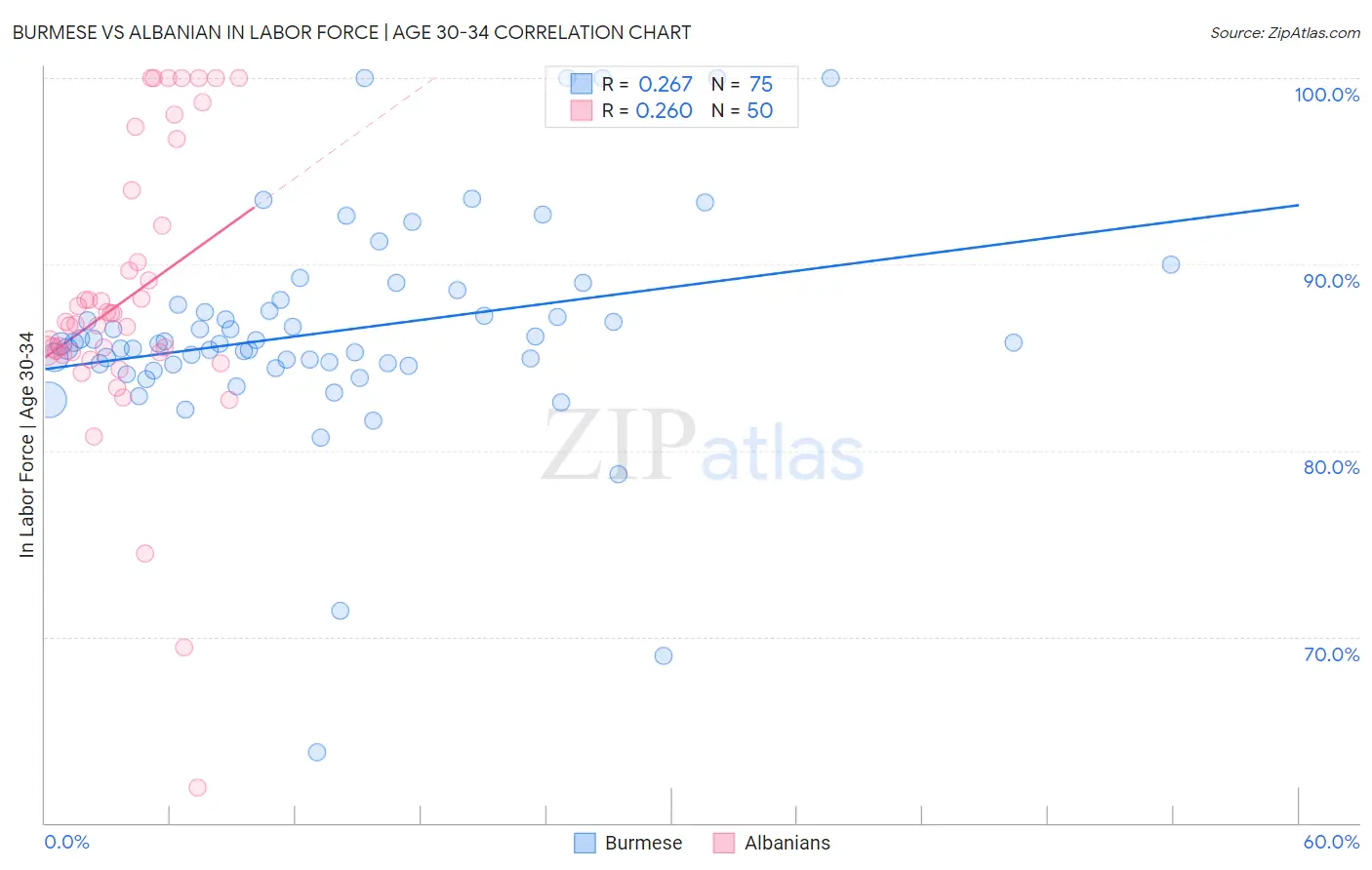 Burmese vs Albanian In Labor Force | Age 30-34