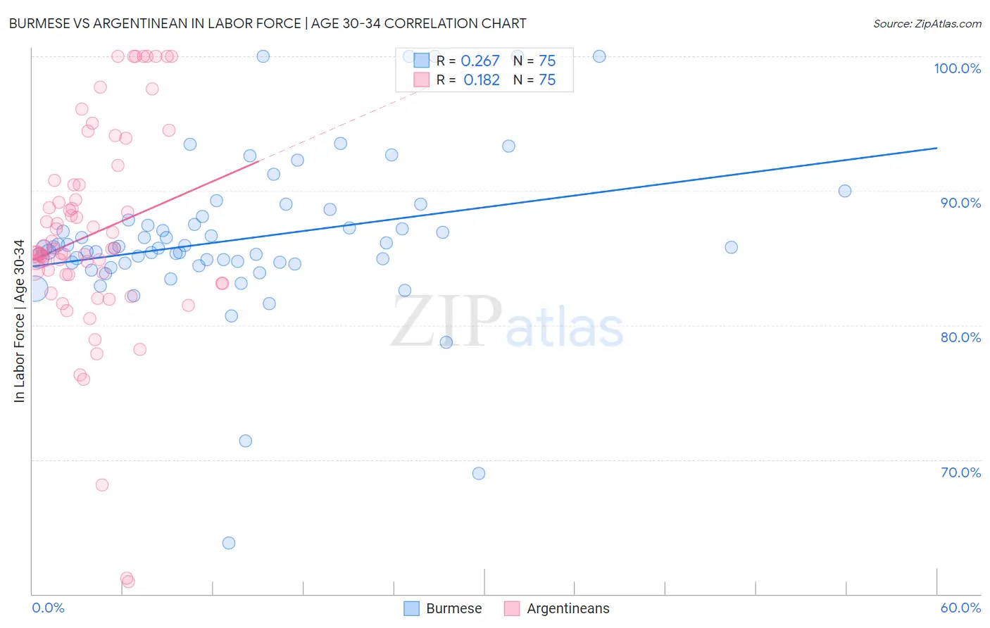 Burmese vs Argentinean In Labor Force | Age 30-34