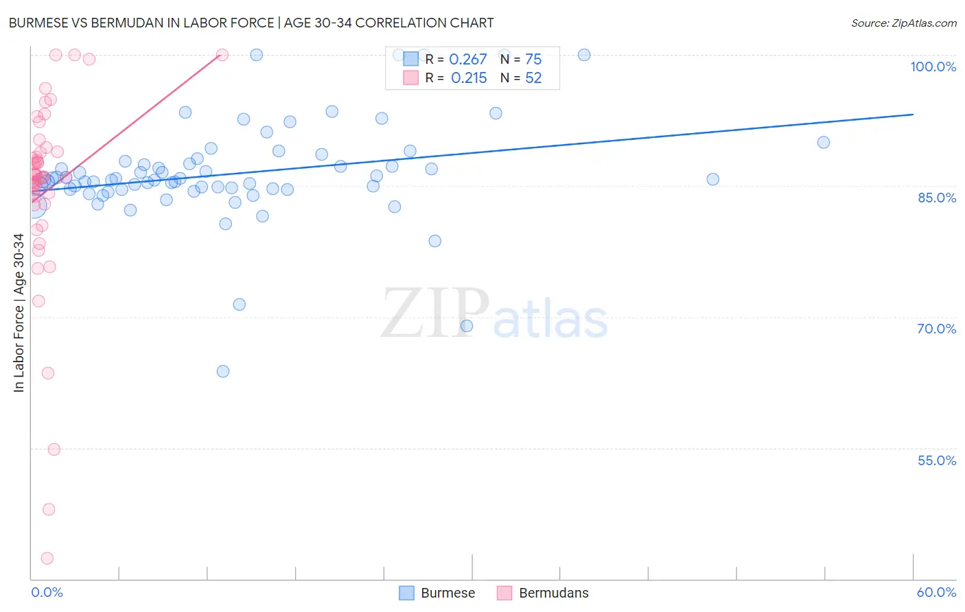 Burmese vs Bermudan In Labor Force | Age 30-34