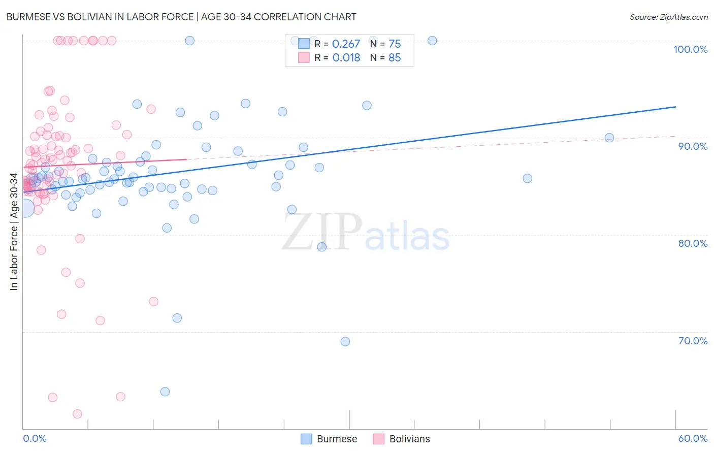Burmese vs Bolivian In Labor Force | Age 30-34