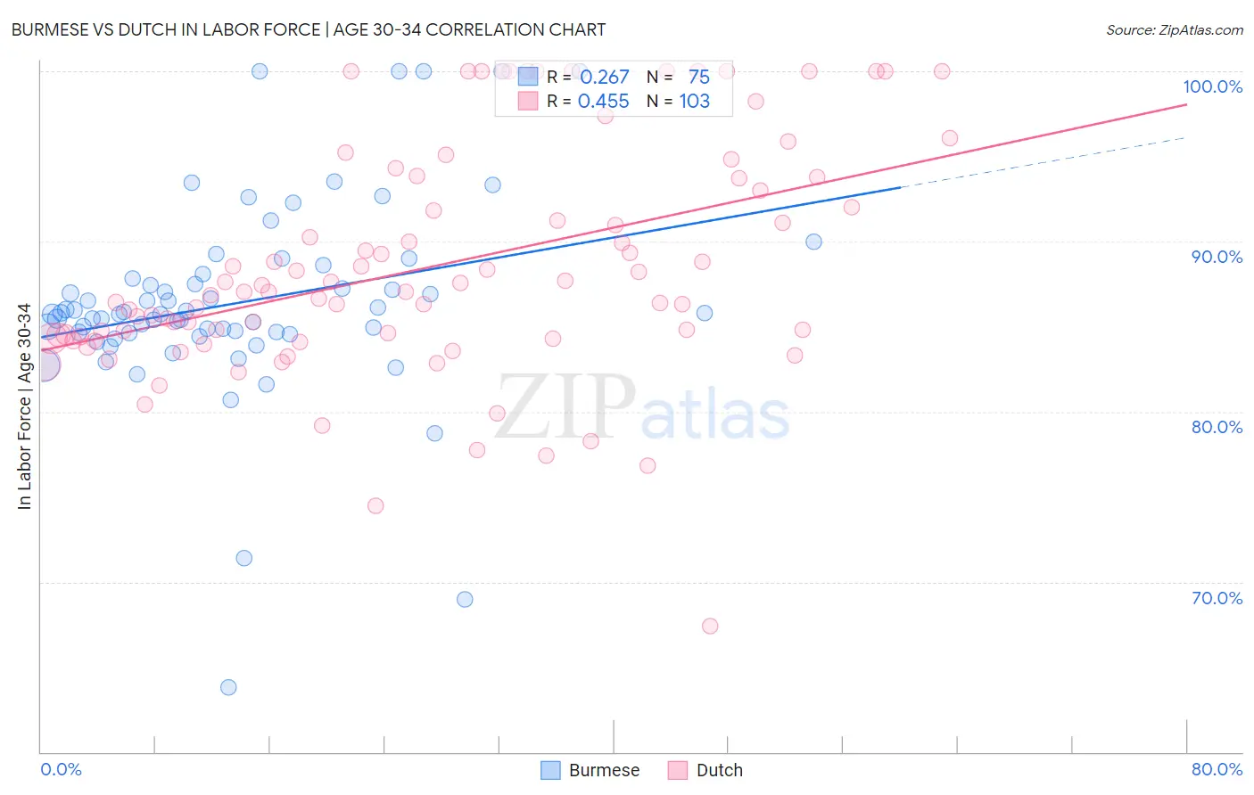Burmese vs Dutch In Labor Force | Age 30-34
