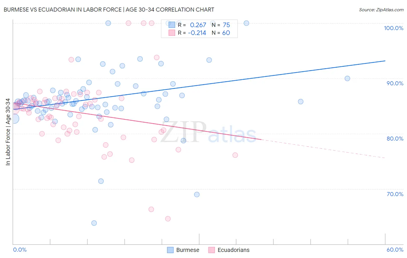 Burmese vs Ecuadorian In Labor Force | Age 30-34