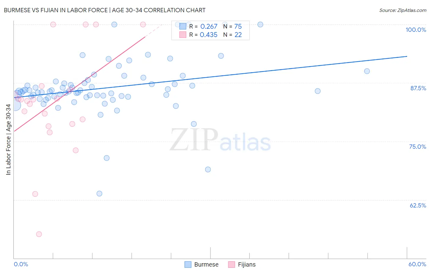 Burmese vs Fijian In Labor Force | Age 30-34