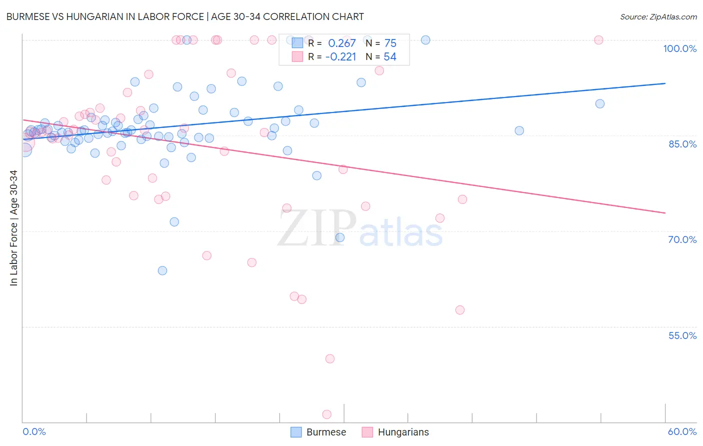 Burmese vs Hungarian In Labor Force | Age 30-34