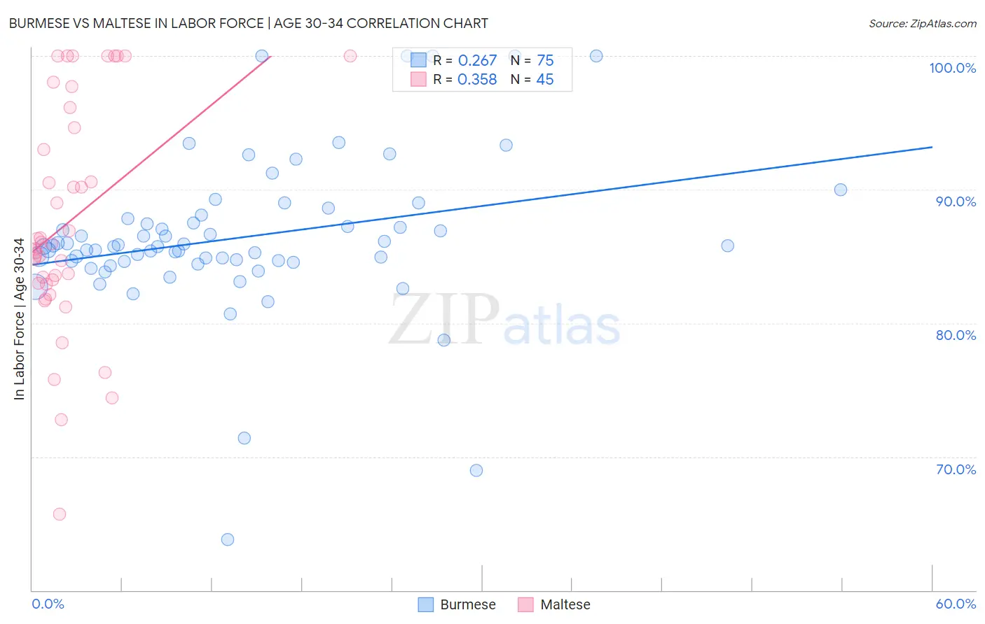 Burmese vs Maltese In Labor Force | Age 30-34