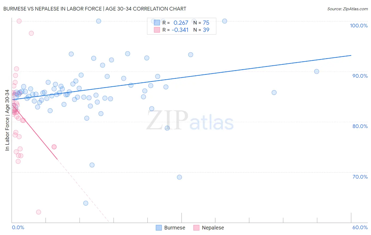 Burmese vs Nepalese In Labor Force | Age 30-34