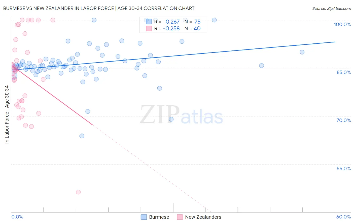 Burmese vs New Zealander In Labor Force | Age 30-34