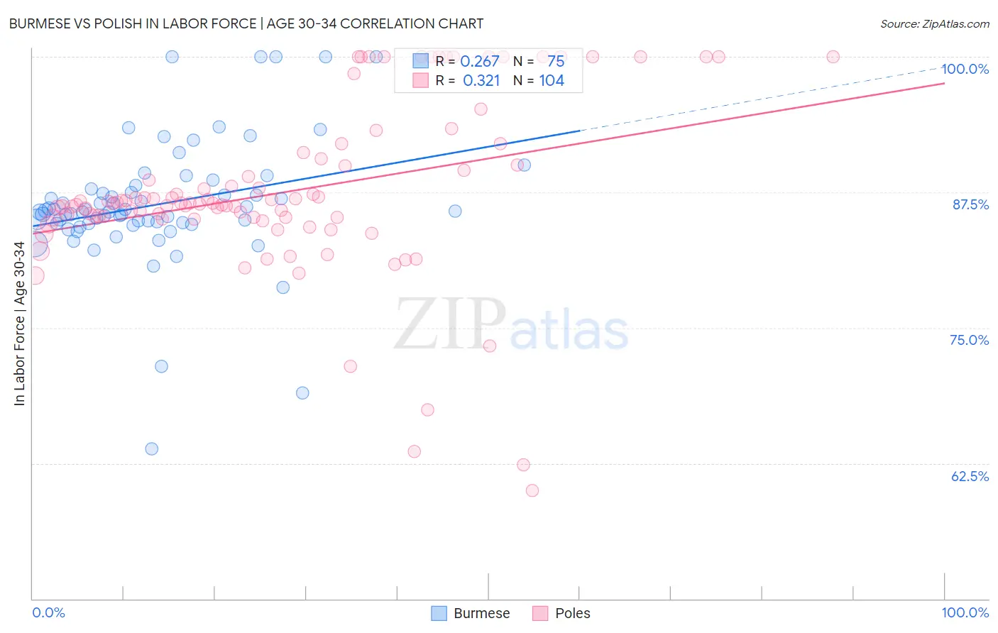 Burmese vs Polish In Labor Force | Age 30-34