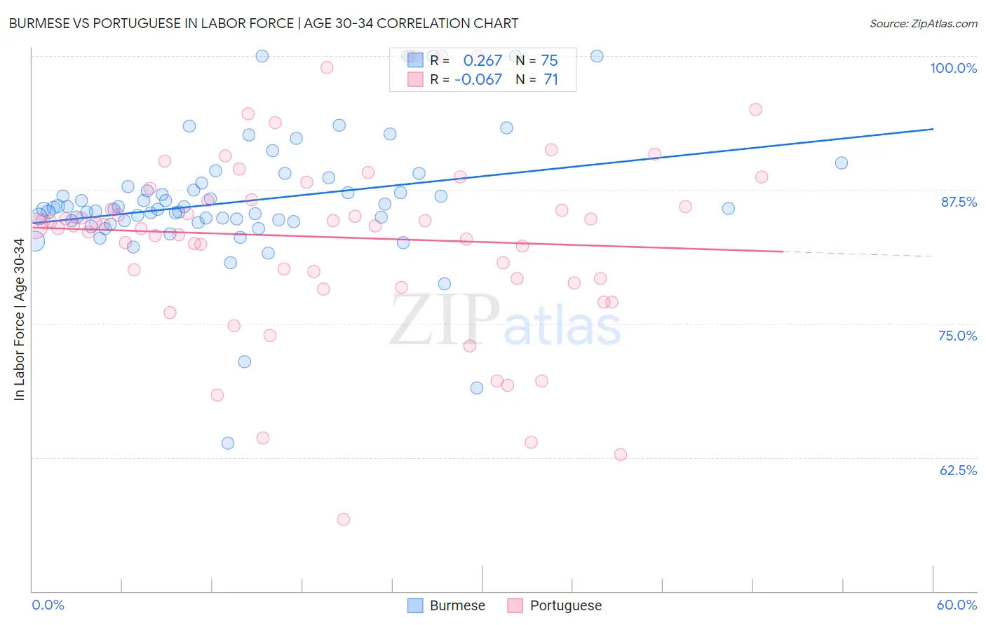 Burmese vs Portuguese In Labor Force | Age 30-34