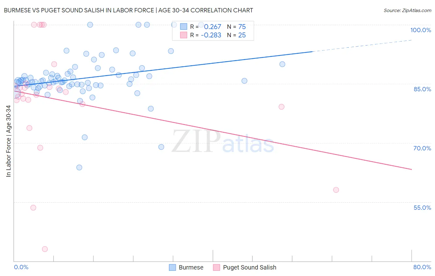 Burmese vs Puget Sound Salish In Labor Force | Age 30-34