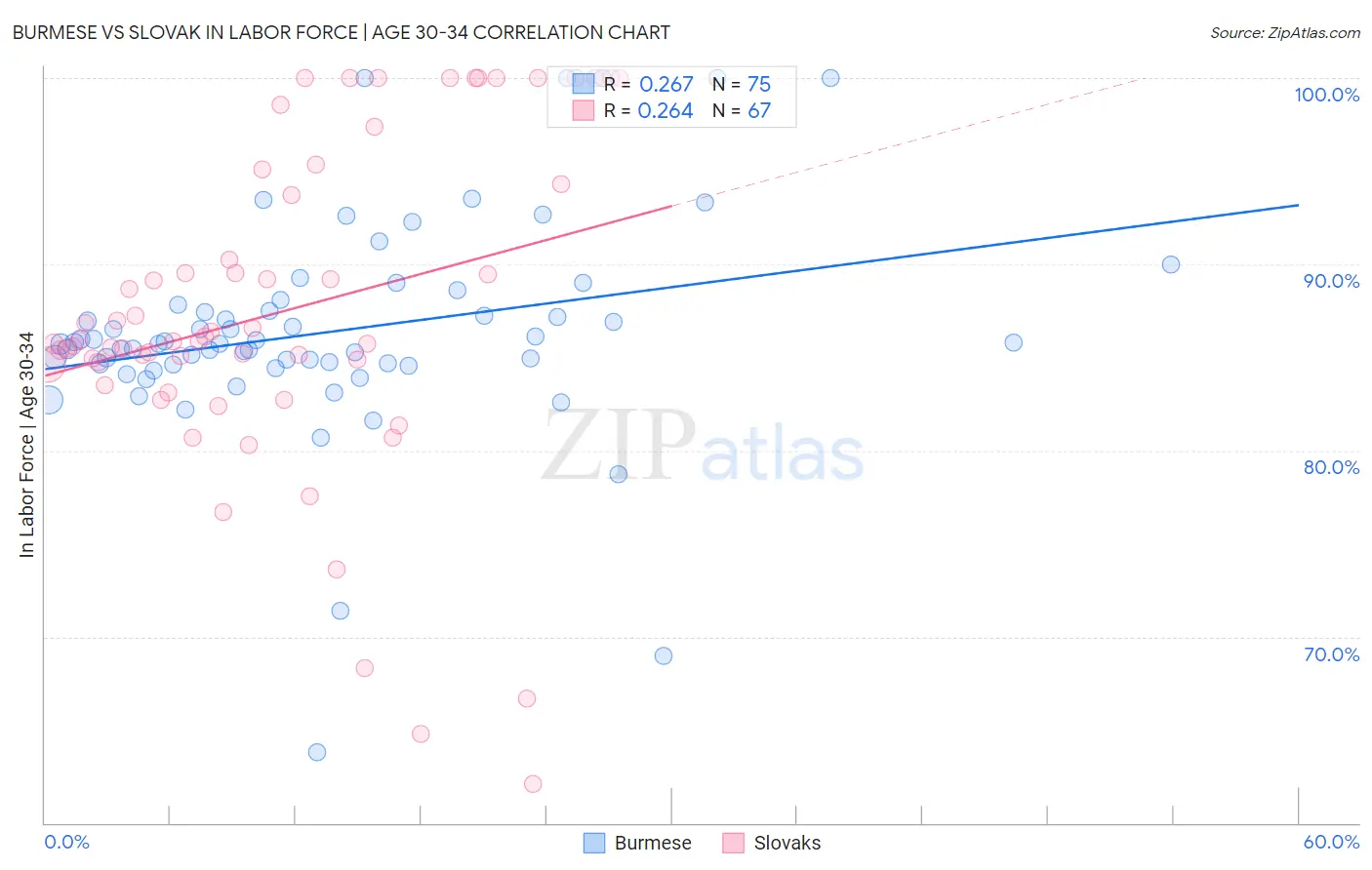 Burmese vs Slovak In Labor Force | Age 30-34