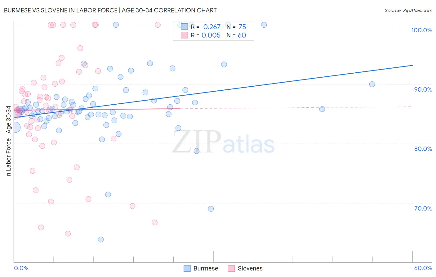 Burmese vs Slovene In Labor Force | Age 30-34