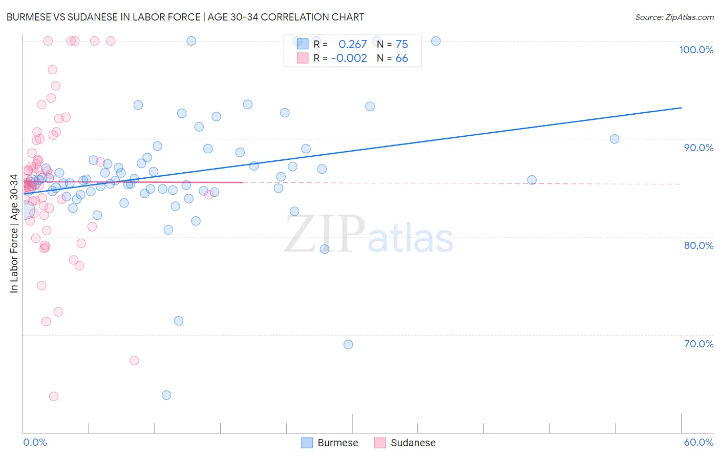 Burmese vs Sudanese In Labor Force | Age 30-34