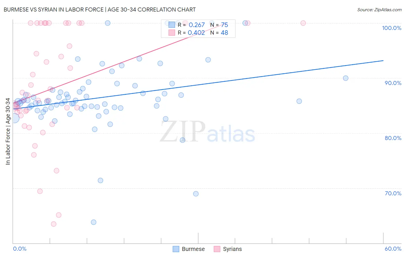 Burmese vs Syrian In Labor Force | Age 30-34