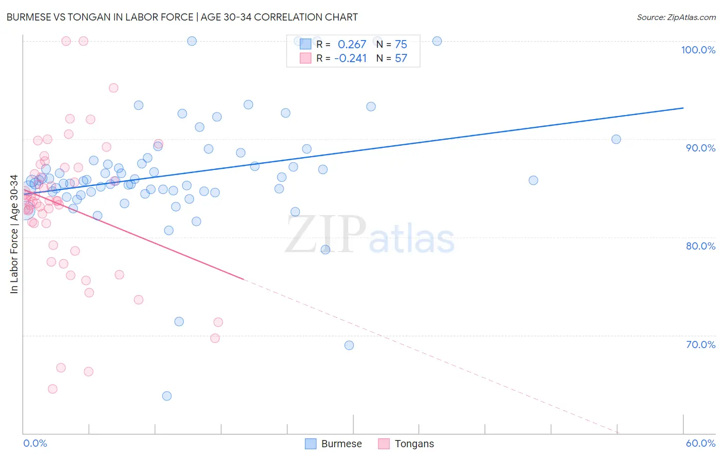 Burmese vs Tongan In Labor Force | Age 30-34