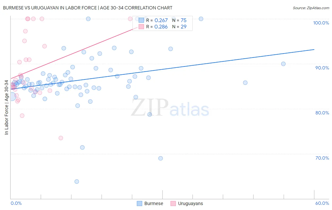 Burmese vs Uruguayan In Labor Force | Age 30-34
