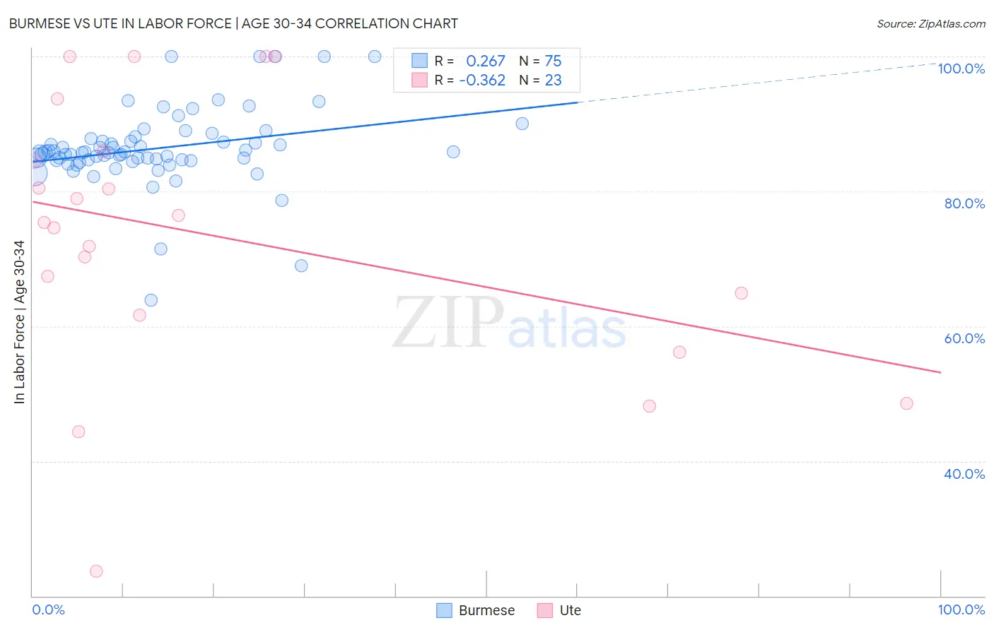 Burmese vs Ute In Labor Force | Age 30-34