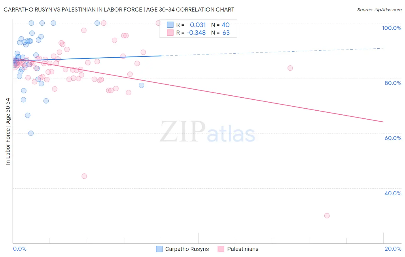 Carpatho Rusyn vs Palestinian In Labor Force | Age 30-34