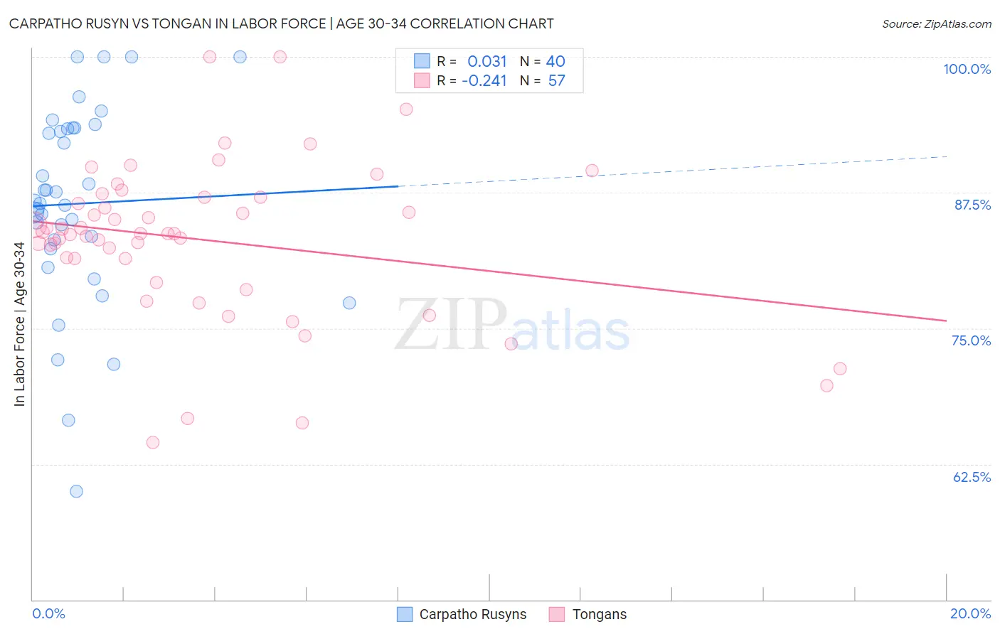 Carpatho Rusyn vs Tongan In Labor Force | Age 30-34