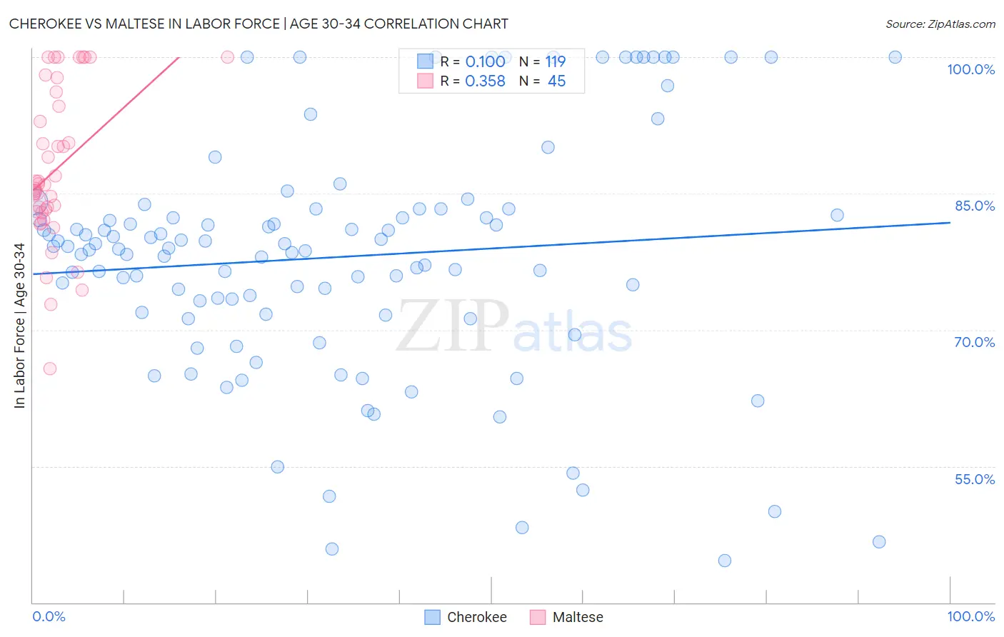 Cherokee vs Maltese In Labor Force | Age 30-34