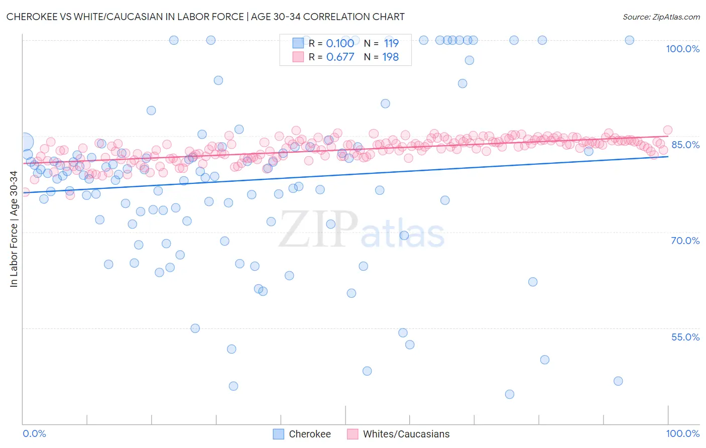 Cherokee vs White/Caucasian In Labor Force | Age 30-34