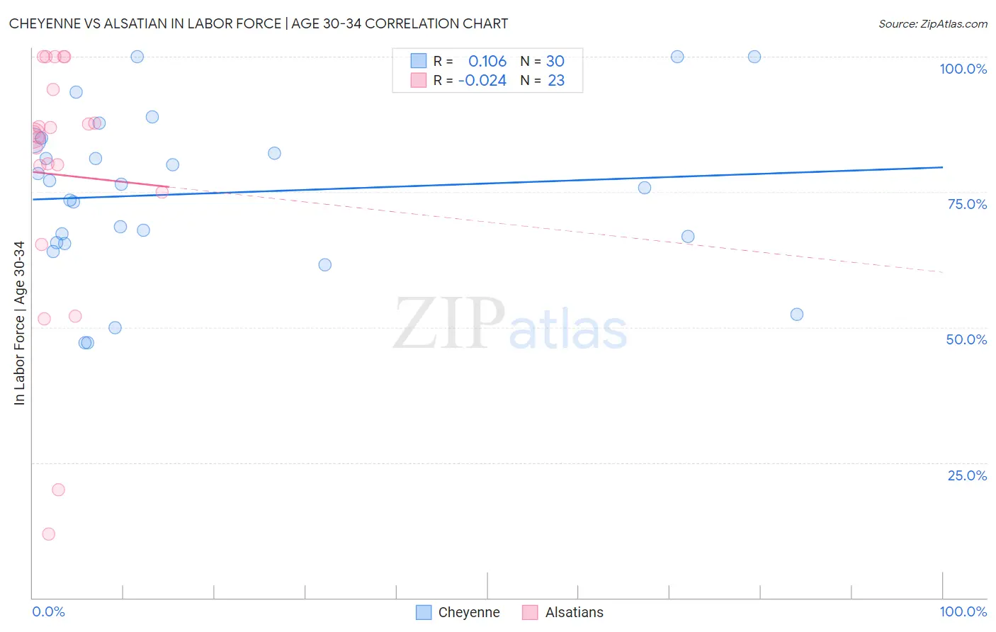 Cheyenne vs Alsatian In Labor Force | Age 30-34