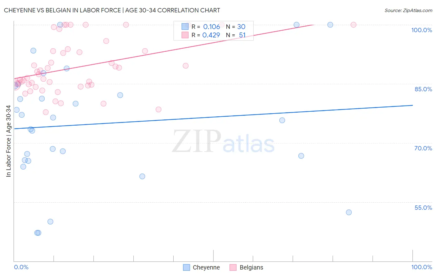 Cheyenne vs Belgian In Labor Force | Age 30-34