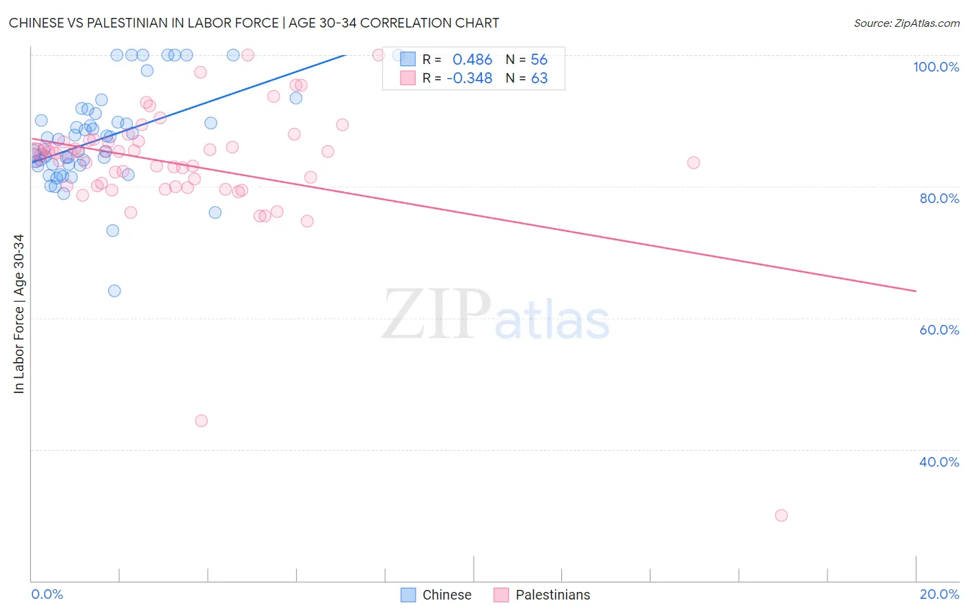 Chinese vs Palestinian In Labor Force | Age 30-34