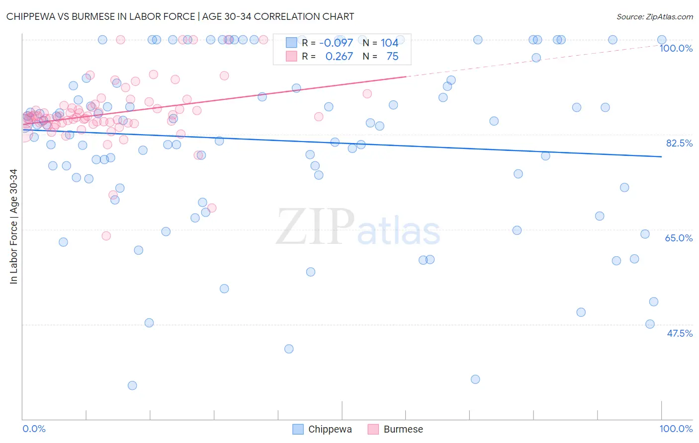 Chippewa vs Burmese In Labor Force | Age 30-34