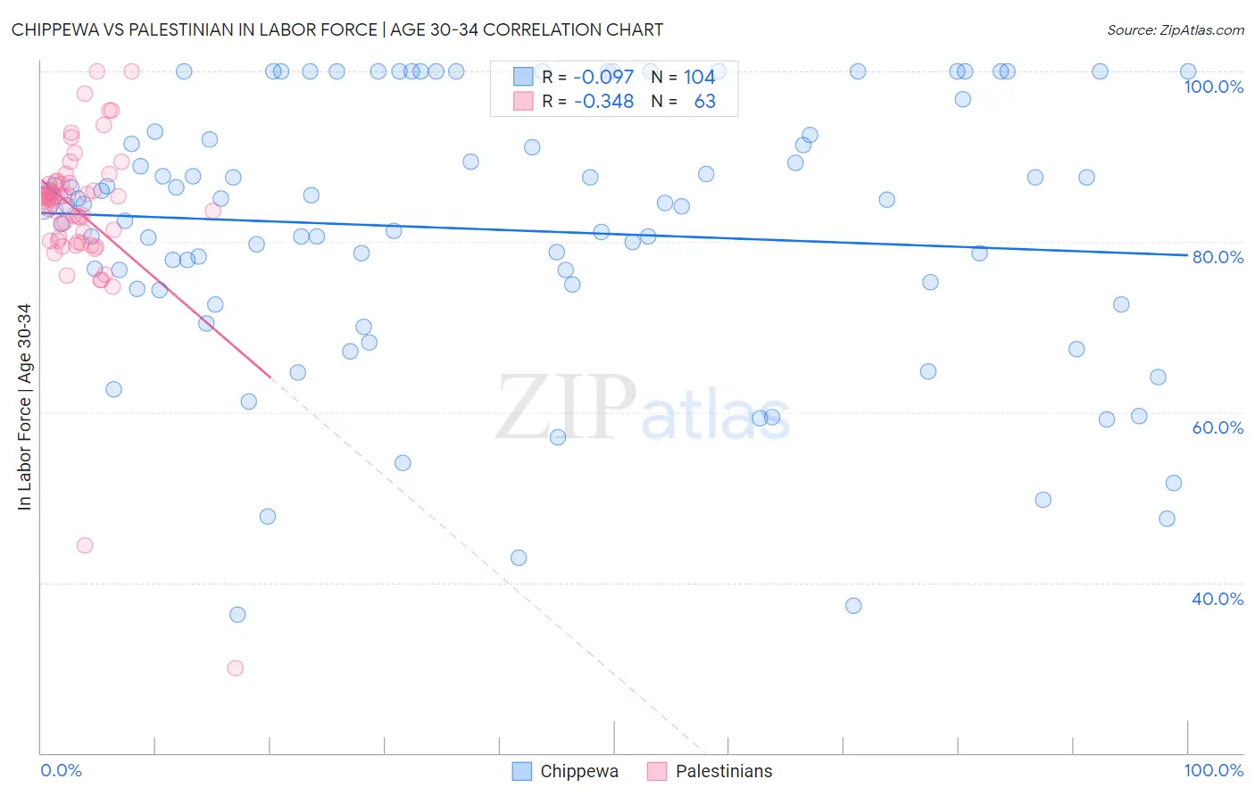 Chippewa vs Palestinian In Labor Force | Age 30-34
