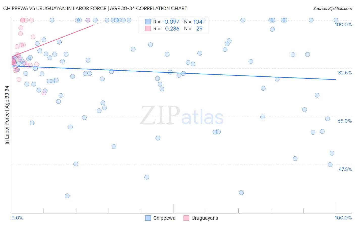 Chippewa vs Uruguayan In Labor Force | Age 30-34