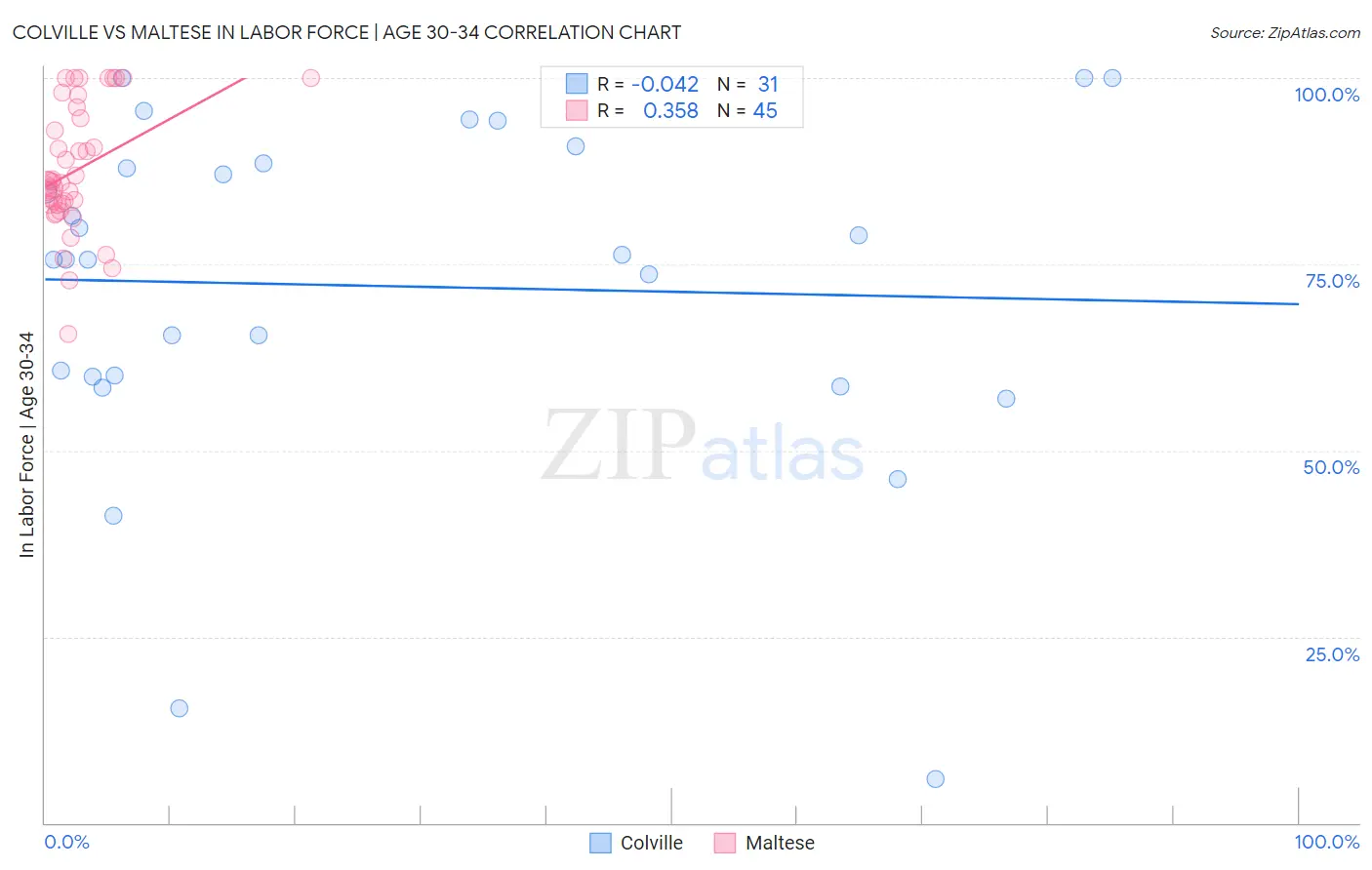 Colville vs Maltese In Labor Force | Age 30-34