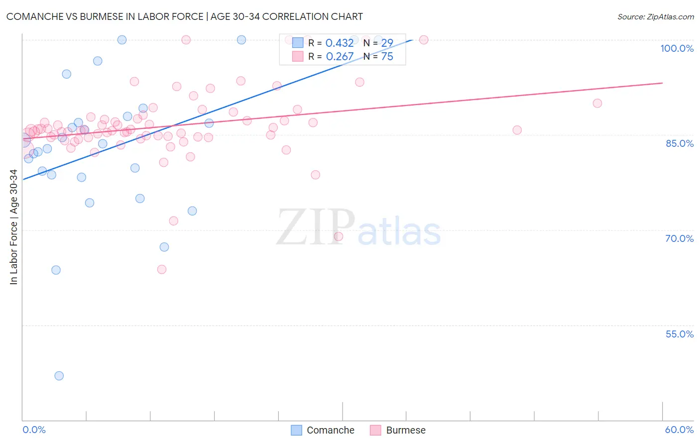 Comanche vs Burmese In Labor Force | Age 30-34