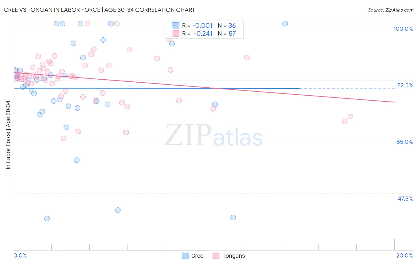 Cree vs Tongan In Labor Force | Age 30-34
