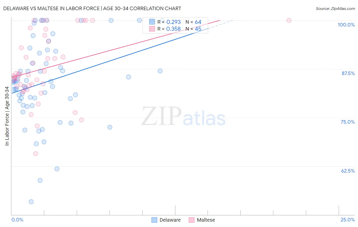 Delaware vs Maltese In Labor Force | Age 30-34